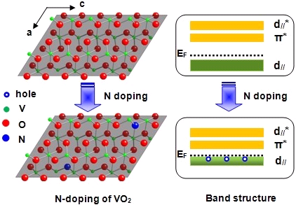 N原子掺杂VO2薄膜中空穴载流子调变对金属-绝缘体相变特性的影响