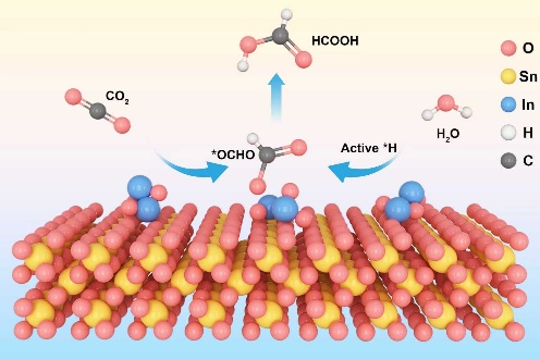 邢雪青团队研发氧化铟改性的二氧化锡/石墨烯复合催化剂——实现强酸体系下工业级电流密度的高效二氧化碳-甲酸转化