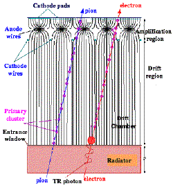 W020100415337519937022.gif