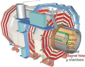 CMS detector.jpg (45786 字节)