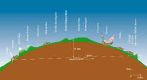 route taaken by neutrinos thru the Earth's crust from cern to GSlab.jpg (29383 字节)